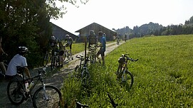 Bei Wiggensbach: Auf dem Bergrücken angekommen.